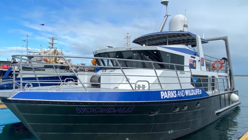 Patrol boat with MAN engine installed